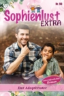 Der Adoptivvater : Sophienlust Extra 90 - Familienroman - eBook