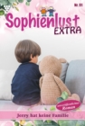 Jerry hat keine Familie : Sophienlust Extra 91 - Familienroman - eBook
