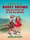 Bunny Brown And His Sister Sue In The Big Woods - eBook