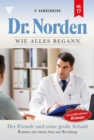 Der Fremde und seine groe Schuld : Dr. Norden - Die Anfange 17 - Arztroman - eBook