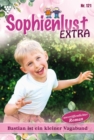 Bastian ist ein kleiner Vagabund : Sophienlust Extra 121 - Familienroman - eBook