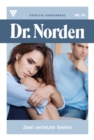 Zwei verletzte Seelen : Dr. Norden 89 - Arztroman - eBook