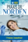 5 Romane : Die neue Praxis Dr. Norden - Sammelband 2 - Arztserie - eBook