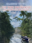 Up the Orinoco and down the Magdalena - eBook