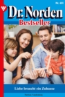 Liebe braucht ein Zuhause : Dr. Norden Bestseller 491 - Arztroman - eBook