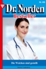 Die Weichen sind gestellt : Dr. Norden Bestseller 495 - Arztroman - eBook