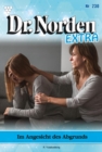 Im Angesicht  des Abgrunds : Dr. Norden Extra 230 - Arztroman - eBook