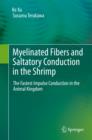 Myelinated Fibers and Saltatory Conduction in the Shrimp : The Fastest Impulse Conduction in the Animal Kingdom - eBook