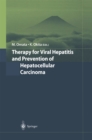 Therapy for Viral Hepatitis and Prevention of Hepatocellular Carcinoma - eBook