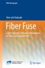 Fiber Fuse : Light-Induced Continuous Breakdown of Silica Glass Optical Fiber - eBook