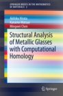 Structural Analysis of Metallic Glasses with Computational Homology - eBook