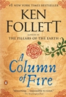 A Column of Fire - eBook
