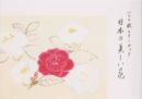 100 Papers with Japanese Seasonal Flowers - Book