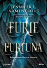 Furie si furtuna - eBook