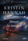 Drum in noapte - eBook