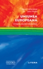 Uniunea Europeana : O foarte scurta introducere - eBook