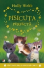 Pisicuta Perfecta - eBook