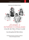 Jovenes e interseccionalidad: color de piel*etnia*clase. Zona Metropolitana del Valle de Mexico - eBook
