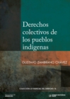 Derechos colectivos de los pueblos indigenas - eBook
