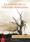 La agonia de la cultura burguesa : (Buenos Aires, 1989-2012) - eBook
