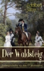 Der Waldsteig (Liebesgeschichte aus dem 19. Jahrhundert) : Die Lebensgeschichte eines Auenseiters - eBook