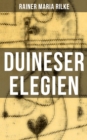 Duineser Elegien : Elegische Suche nach Sinn des Lebens und Zusammenhang - eBook