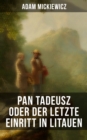 Pan Tadeusz oder Der letzte Einritt in Litauen : Nationalepos der Polen: Eine Adelsgeschichte aus dem Jahre 1811 und 1812 in zwolf Versbuchern - eBook