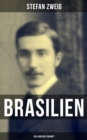 Brasilien: Ein Land der Zukunft : Mit groer Weitsicht sah Zweig die heutige Lage Brasiliens voraus - eBook