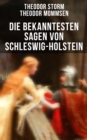 Die bekanntesten Sagen von Schleswig-Holstein : Die Abelssage + Die schwarze Greth + Das Gluck der Grafen Rantzau + Schacken-Sage + Bredstedter Sage + Friesische Sage... - eBook