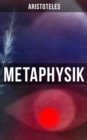 Metaphysik : Das Grundlegende aller Wirklichkeit - eBook