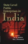 State Level Public Enterprises in India - eBook