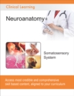 Somatosensory System - eBook