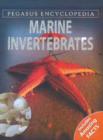 Marine Invertebrates - Book