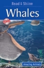 Whales - Book