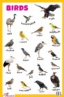 Birds Educational Chart - Book
