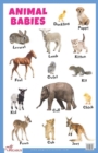 Animal Babies Educational Chart - Book