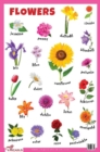 Flowers Educational Chart - Book