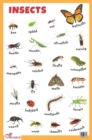 Insects Educational Chart - Book