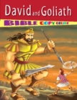 David and Goliath - Book