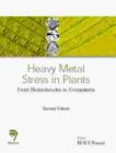 Heavy Metal Stress in Plants : From Biomolecules to Ecosystems - Book