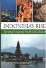 Indonesia's Rise : Seeking Regional And Global Roles - Book