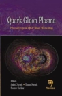 Quark Gluon Plasma : Proceedings of QGP Meet Workshop - Book
