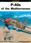 P-40s of the Mediterranean - Book