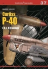 Curtiss P-40, F,K,L,M,N Models - Book