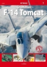 Grumman F-14 Tomcat - Book