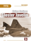 Flying Flatiron, Gloster Javelin - Book