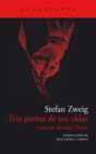 Tres poetas de sus vidas - eBook