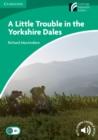 A Little Trouble in the Yorkshire Dales Level 3 Lower Intermediate - Book