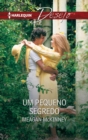 Um pequeno segredo - eBook