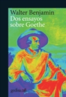 Dos ensayos sobre Goethe - eBook